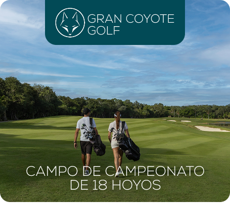 Property 1=Rectangle 10