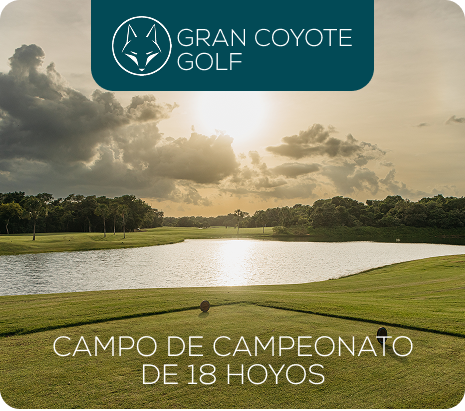 Property 1=Rectangle 11