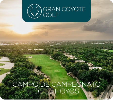 Property 1=Rectangle 12