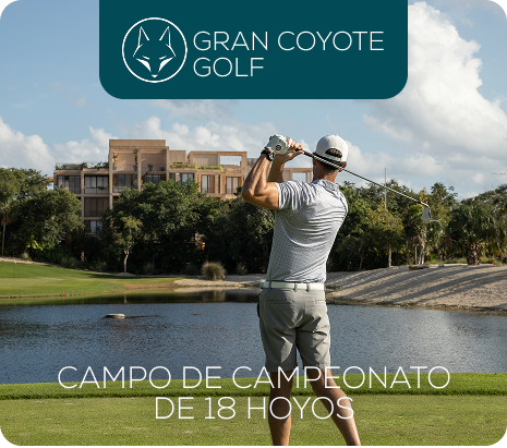 Property 1=Rectangle 13