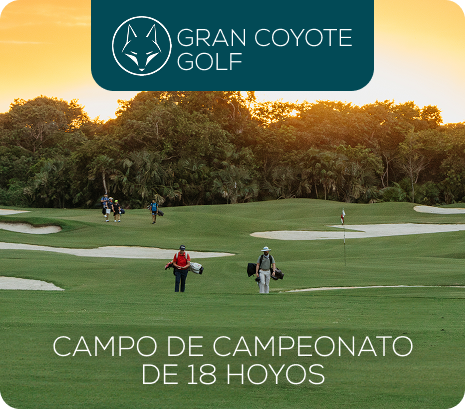 Property 1=Rectangle 7