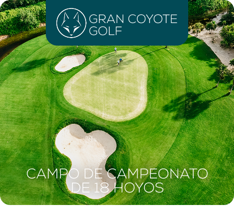 Property 1=Rectangle 8