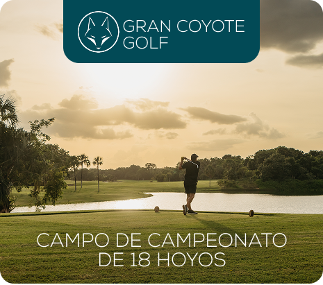 Property 1=Rectangle 9