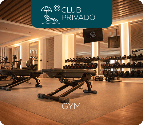 Property 1=Rectangle 10