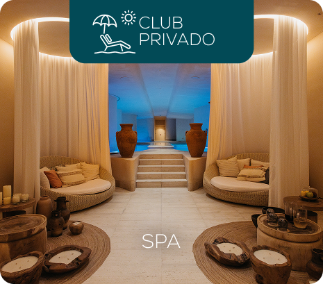 Property 1=Rectangle 8