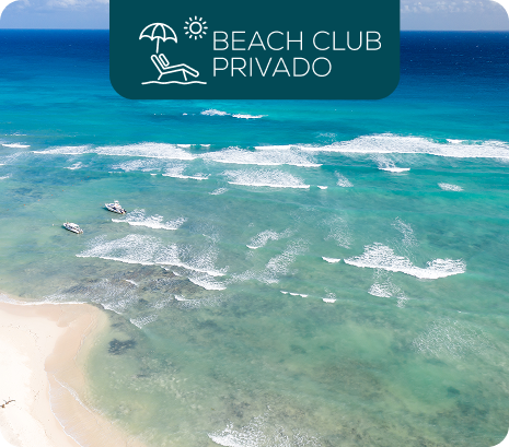 Property 1=Variant13